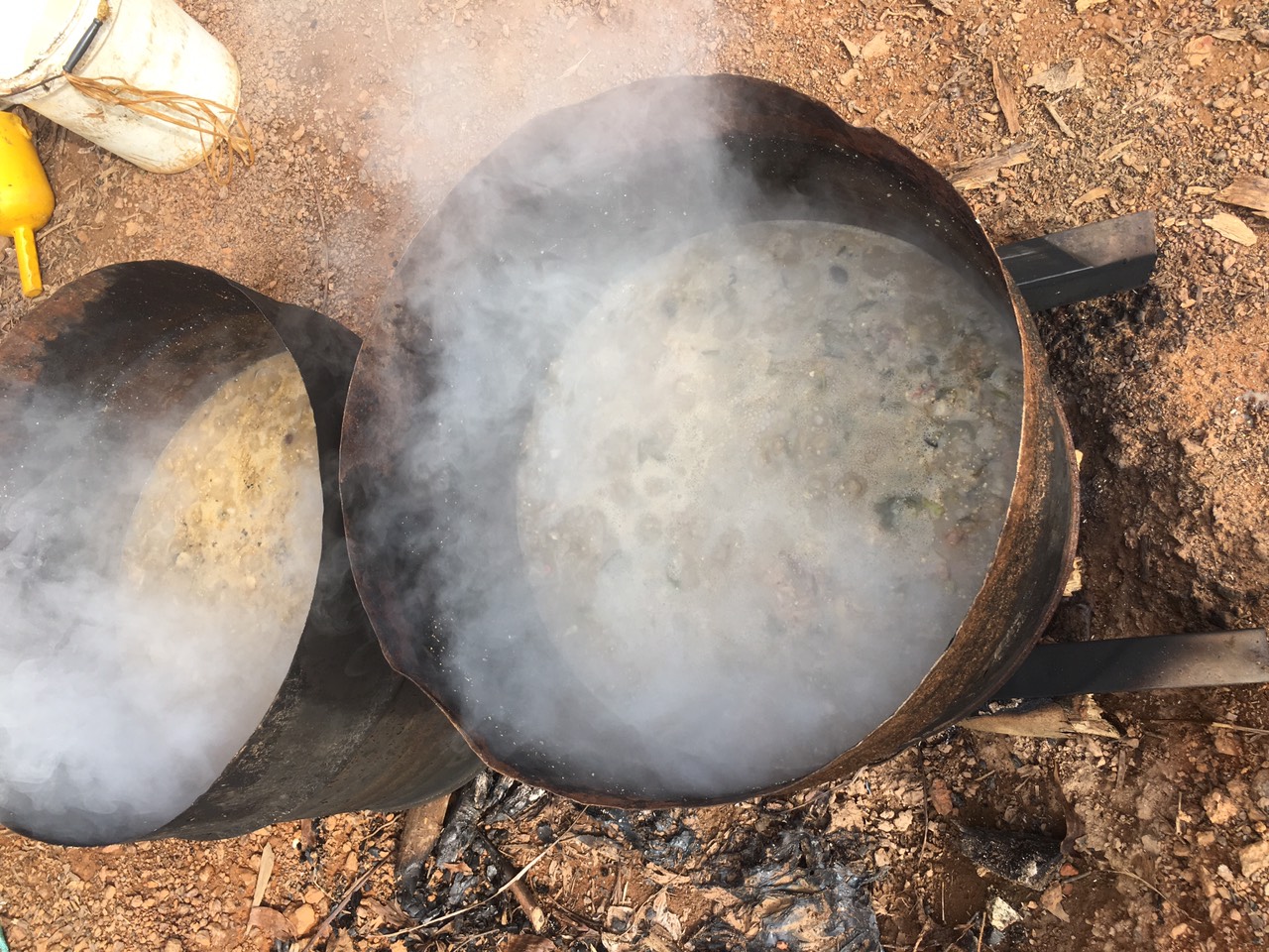 Hình ảnh tận dụng nguồn thức ăn thừa cho gà ăn